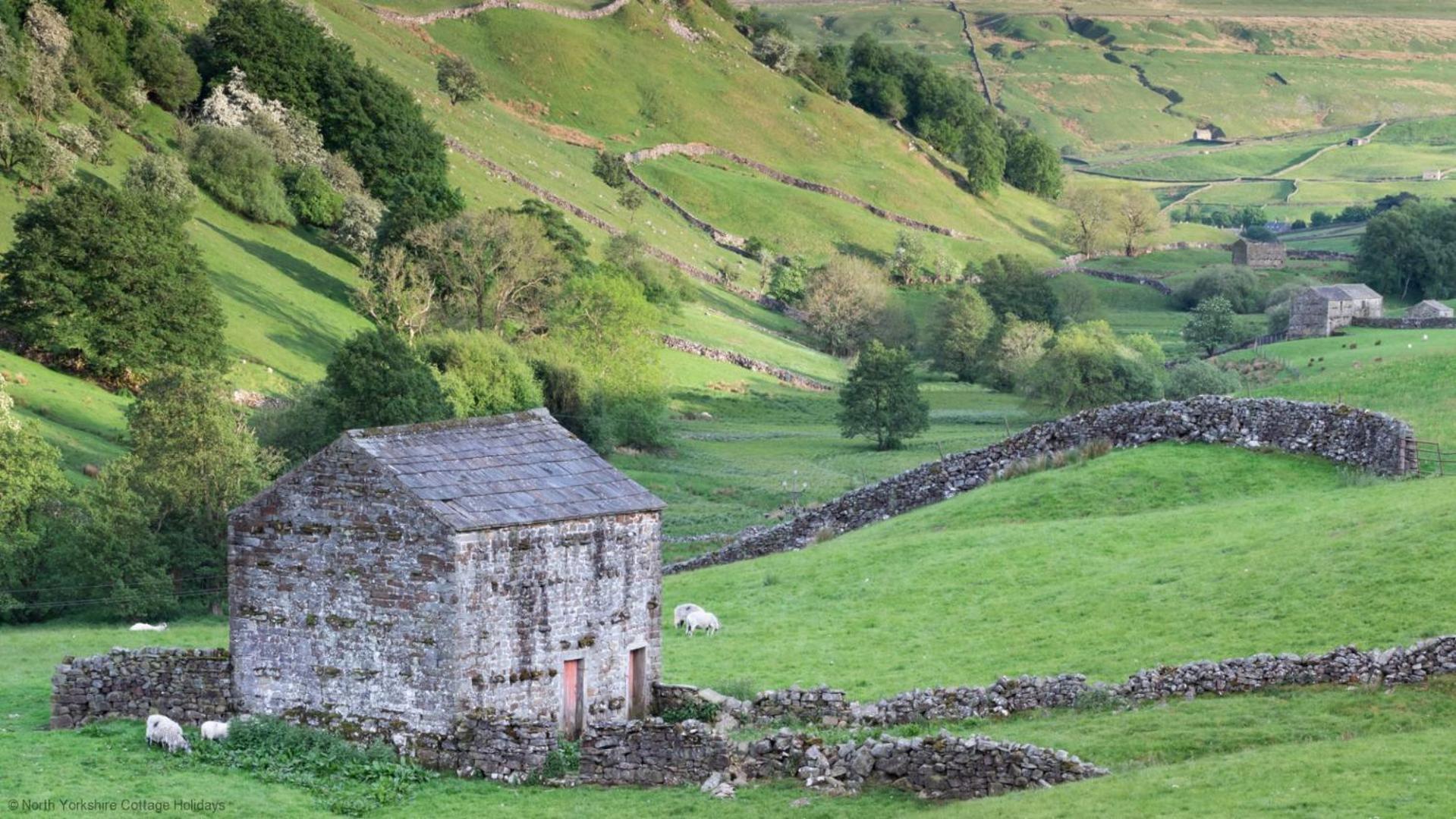 Stone Cottage In Picturesque North Yorkshire Village - Bull Dog Cottage Ampleforth Dış mekan fotoğraf